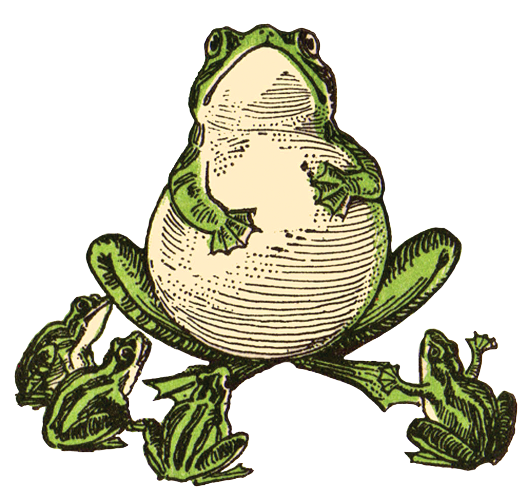 Frog of Elder Wisdom